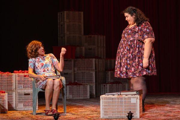 LookingForAlibrandi2