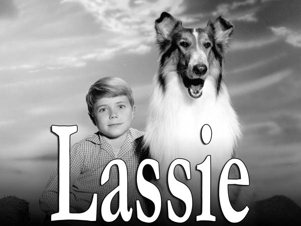 Lassie