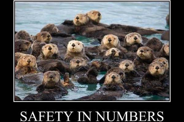Safety-In-Numbers