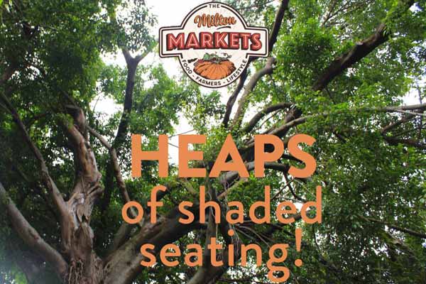 Shaded Seating