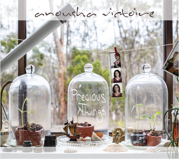 Precious Things artwork